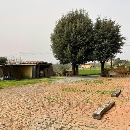 Podere Piazza Siena Eksteriør billede