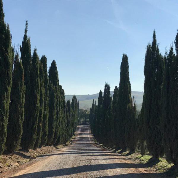 Podere Piazza Siena Eksteriør billede